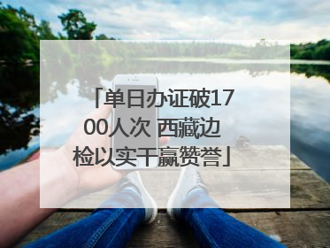 单日办证破1700人次 西藏边检以实干赢赞誉