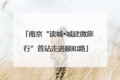 南京“读城•城建微旅行”首站走进颐和路