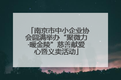 南京市中小企业协会圆满举办“聚微力·暖金陵”慈善献爱心暨义卖活动