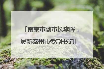 南京市副市长李晖，履新泰州市委副书记