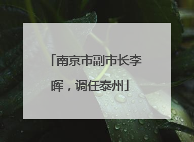 南京市副市长李晖，调任泰州