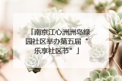 南京江心洲洲岛绿园社区举办第五届“乐享社区节”