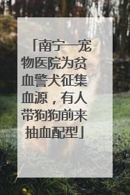 南宁一宠物医院为贫血警犬征集血源，有人带狗狗前来抽血配型