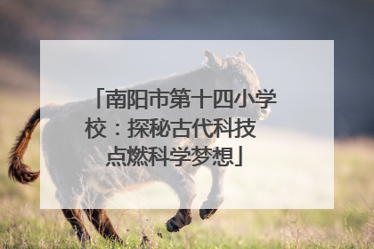 南阳市第十四小学校：探秘古代科技 点燃科学梦想
