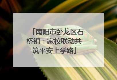 南阳市卧龙区石桥镇：家校联动共筑平安上学路