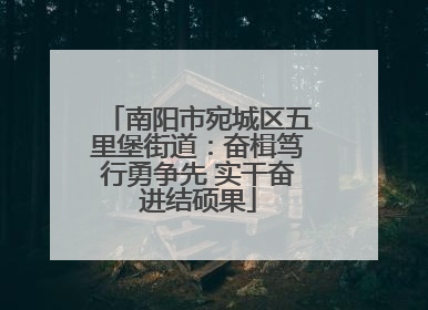 南阳市宛城区五里堡街道：奋楫笃行勇争先 实干奋进结硕果