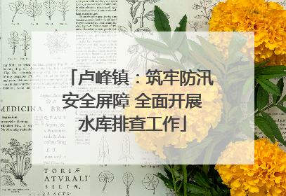 卢峰镇：筑牢防汛安全屏障 全面开展水库排查工作