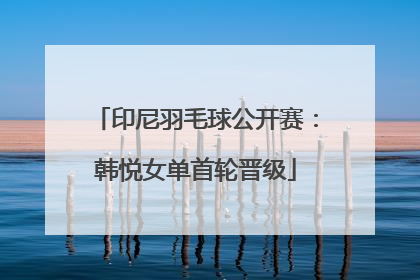 印尼羽毛球公开赛：韩悦女单首轮晋级