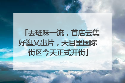 去班味一流，首店云集好逛又出片，天目里国际街区今天正式开街