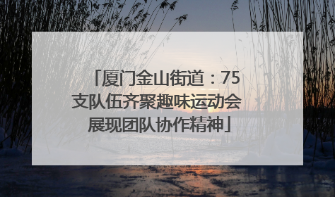 厦门金山街道：75支队伍齐聚趣味运动会 展现团队协作精神