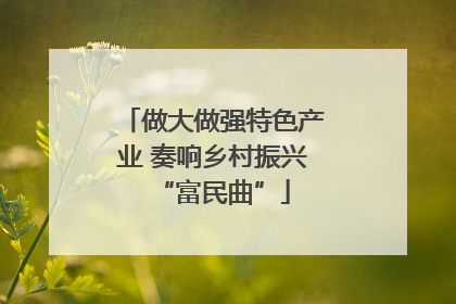 做大做强特色产业 奏响乡村振兴“富民曲”