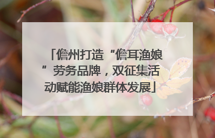 儋州打造“儋耳渔娘”劳务品牌，双征集活动赋能渔娘群体发展