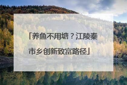 养鱼不用塘？江陵秦市乡创新致富路径
