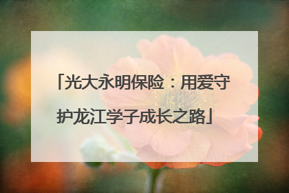 光大永明保险：用爱守护龙江学子成长之路