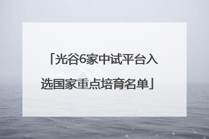 光谷6家中试平台入选国家重点培育名单