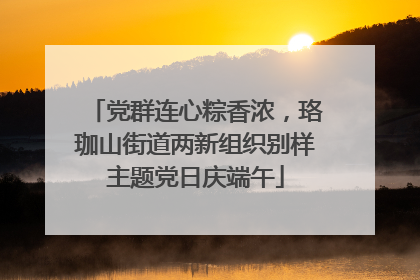 党群连心粽香浓，珞珈山街道两新组织别样主题党日庆端午