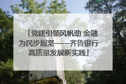 党建引领风帆劲 金融为民步履坚——齐鲁银行高质量发展新实践