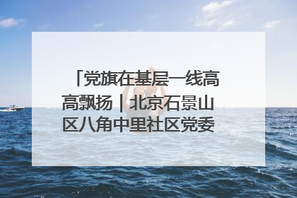党旗在基层一线高高飘扬｜北京石景山区八角中里社区党委：用脚步丈量民生