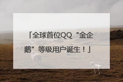 全球首位QQ“金企鹅”等级用户诞生！
