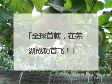 全球首款，在芜湖成功首飞！