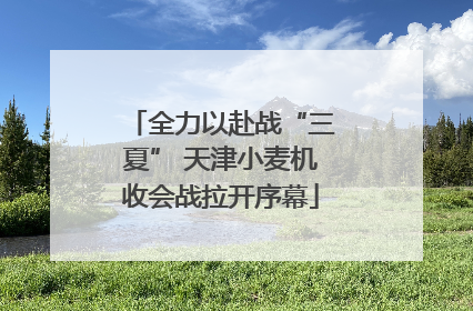 全力以赴战“三夏” 天津小麦机收会战拉开序幕