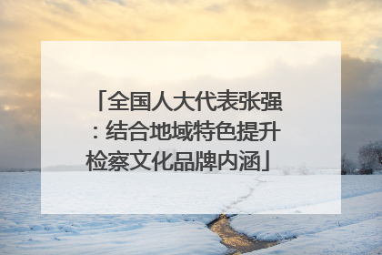 全国人大代表张强：结合地域特色提升检察文化品牌内涵