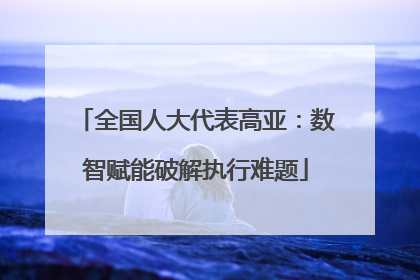全国人大代表高亚：数智赋能破解执行难题