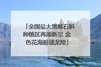 全国最大黑喉石斛种植区再添新景 金色花海扮靓龙陵