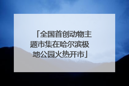 全国首创动物主题市集在哈尔滨极地公园火热开市