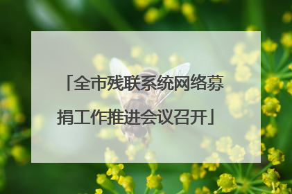 全市残联系统网络募捐工作推进会议召开