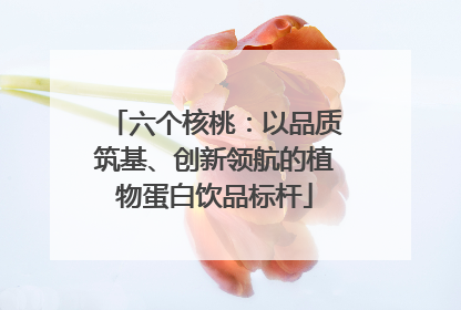 六个核桃：以品质筑基、创新领航的植物蛋白饮品标杆