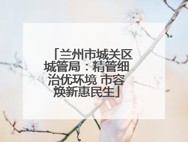 兰州市城关区城管局：精管细治优环境 市容焕新惠民生