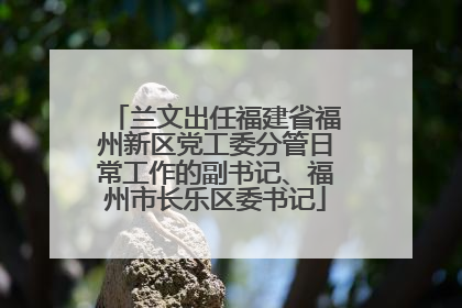 兰文出任福建省福州新区党工委分管日常工作的副书记、福州市长乐区委书记