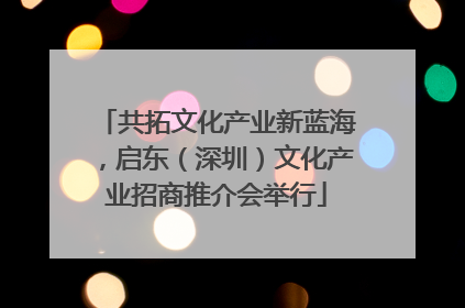 共拓文化产业新蓝海，启东（深圳）文化产业招商推介会举行