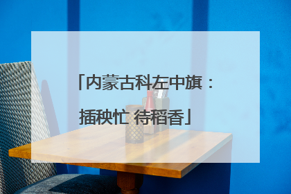 内蒙古科左中旗：插秧忙 待稻香
