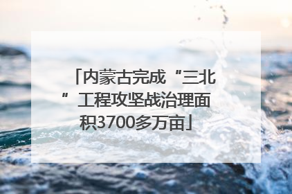 内蒙古完成“三北”工程攻坚战治理面积3700多万亩