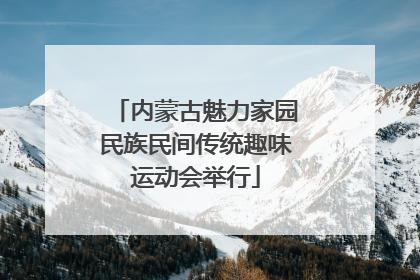 内蒙古魅力家园民族民间传统趣味运动会举行