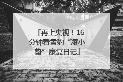 再上央视！16分钟看雪豹“凌小蛰”康复日记