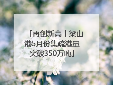 再创新高丨梁山港5月份集疏港量突破350万吨