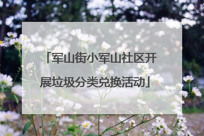军山街小军山社区开展垃圾分类兑换活动