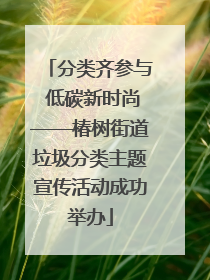 分类齐参与 低碳新时尚——椿树街道垃圾分类主题宣传活动成功举办