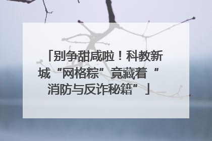 别争甜咸啦！科教新城“网格粽”竟藏着“消防与反诈秘籍”