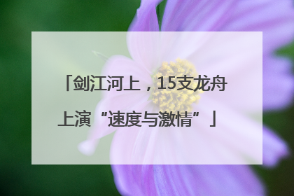 剑江河上，15支龙舟上演“速度与激情”