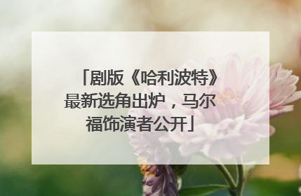 剧版《哈利波特》最新选角出炉，马尔福饰演者公开