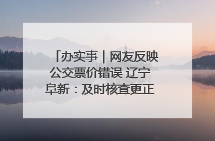 办实事｜网友反映公交票价错误 辽宁阜新：及时核查更正 加强实时巡检