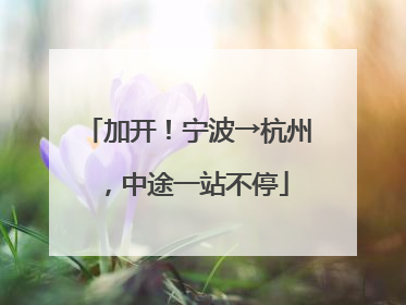 加开！宁波→杭州，中途一站不停