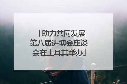 助力共同发展 第八届进博会座谈会在土耳其举办