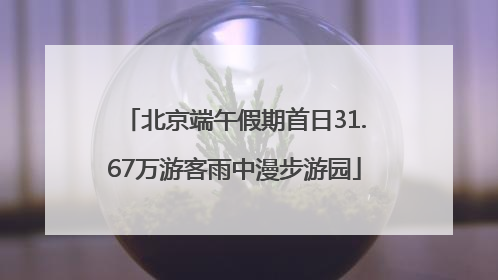 北京端午假期首日31.67万游客雨中漫步游园
