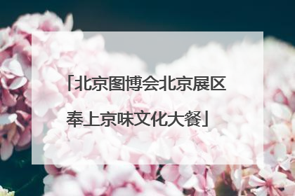 北京图博会北京展区奉上京味文化大餐