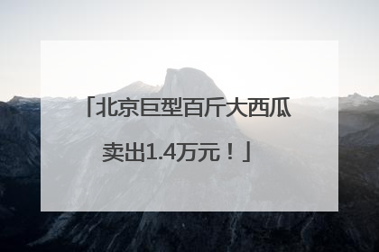 北京巨型百斤大西瓜卖出1.4万元！